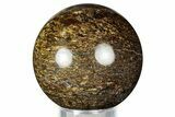 Golden Amphibolite Sphere - Western Australia #327385-1